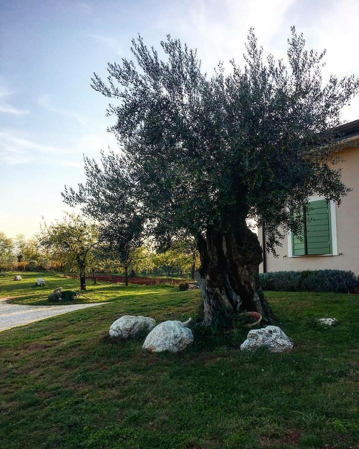 Agriturismo Di Charme Erbadoro Alvito 外观 照片